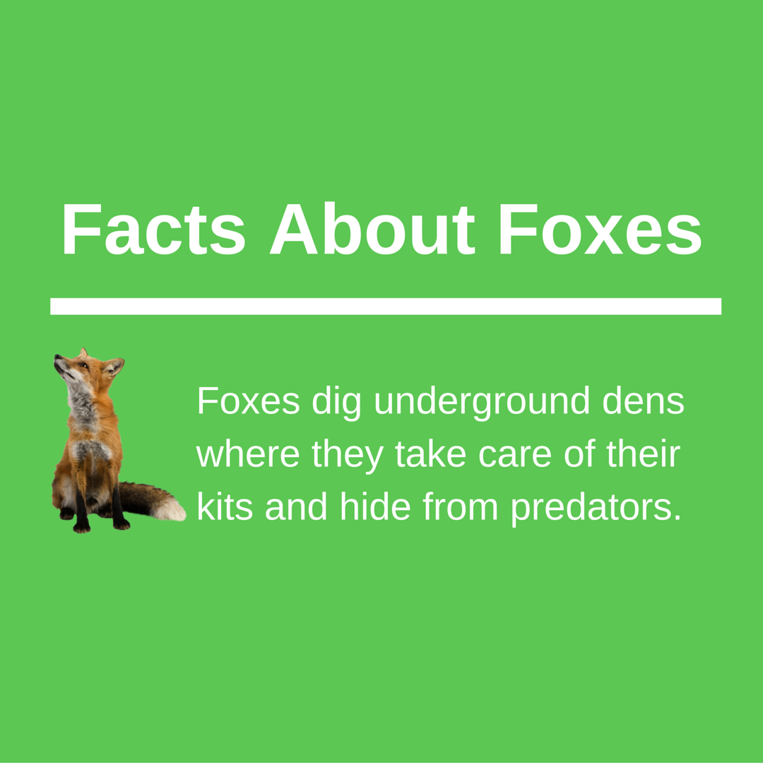 keepforests's tweet image. Share To Help Promote Awareness About Forest &amp;amp; Wildlife Conservation: KeepForests.com