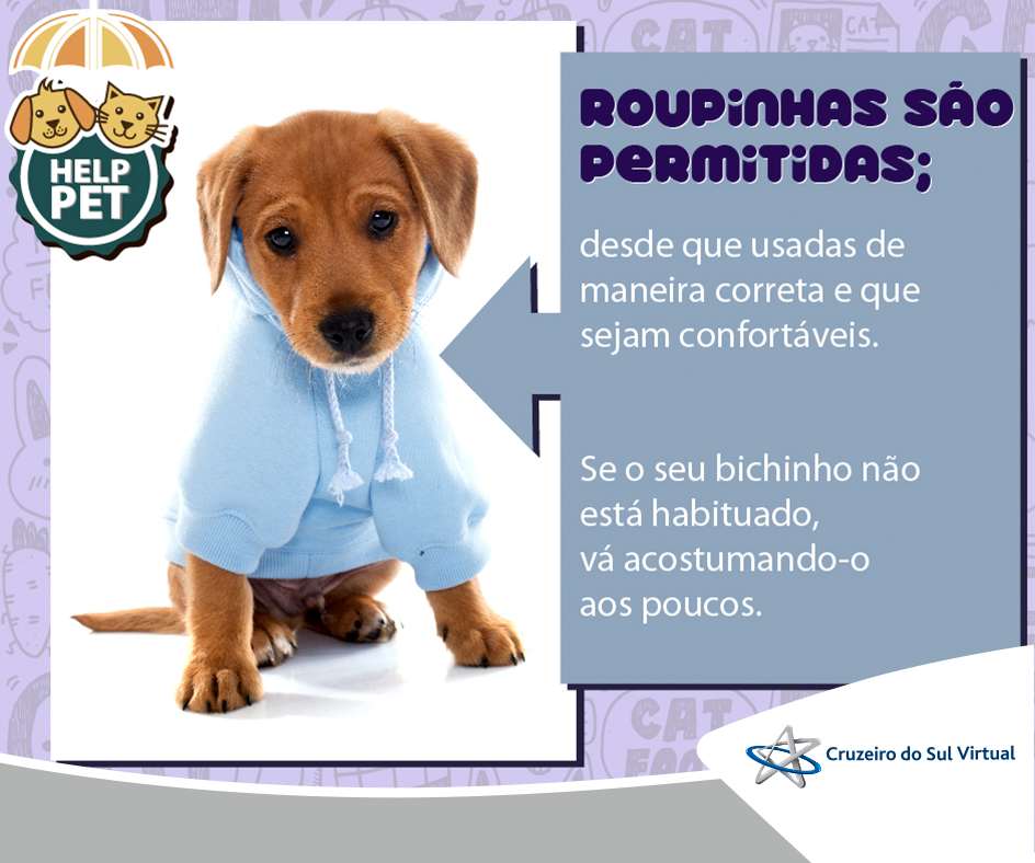 CruzeiroVirtual's tweet photo. 🐶 🐱 #HelpPet: Roupas confortáveis e adaptadas para cada época do ano são mais recomendadas! https://t.co/Dlxtsatkcy
