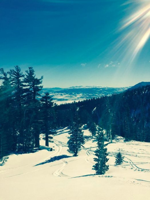 S4Suncare's tweet photo. #TBT #pictureperfect #pow #sun #snow #takemeback #S4suncare https://t.co/ZqiNQ1X09O https://t.co/2cJ2VwVKG3
