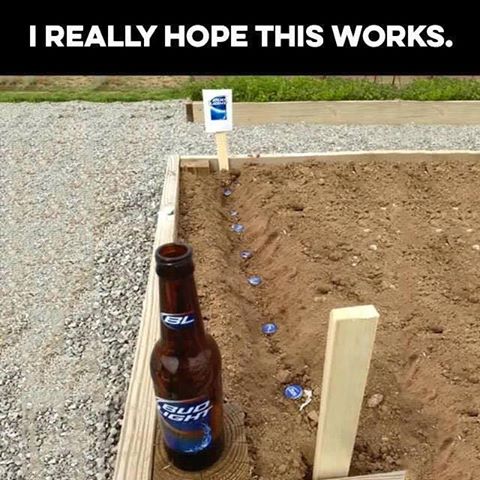 BFostersbox's tweet image. #BernieOrBusters be like...