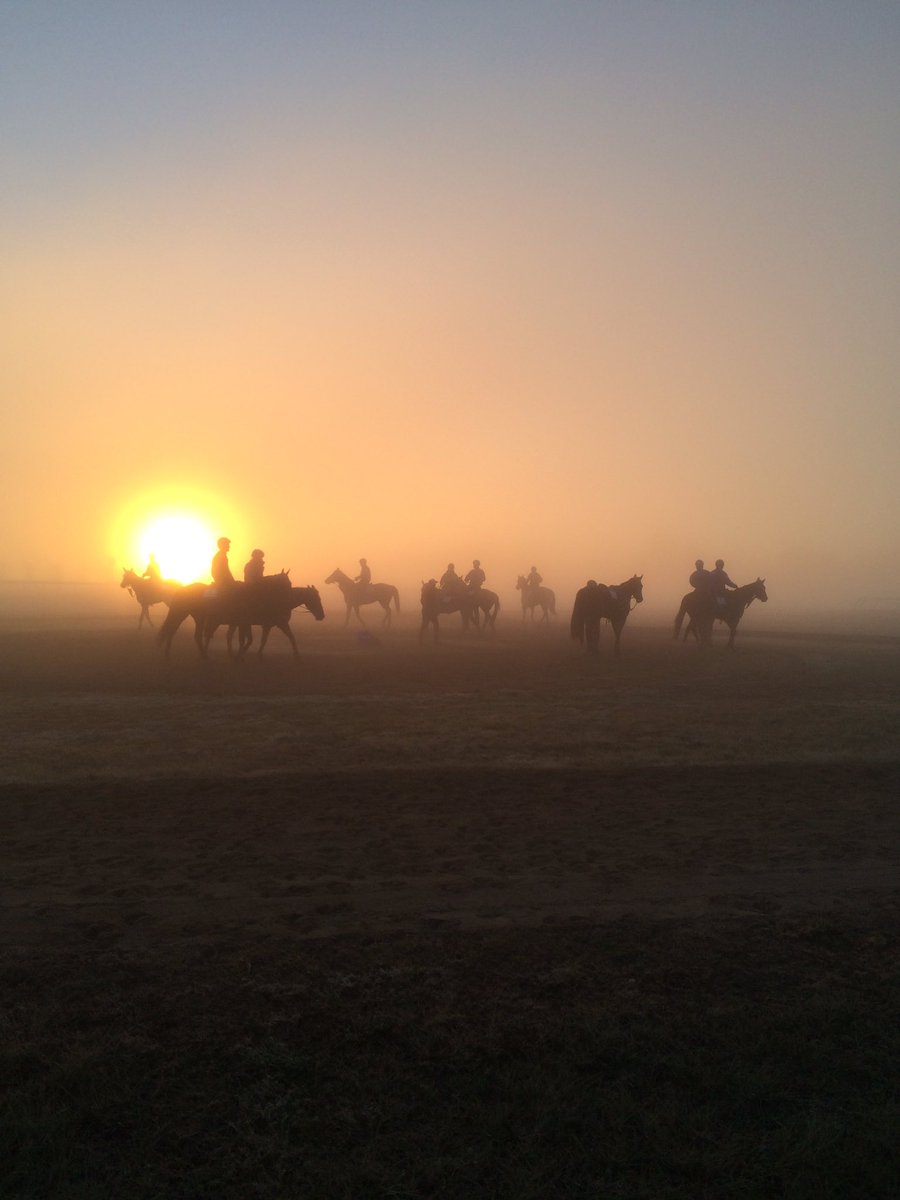 JSBLOODSTOCK's tweet photo. Changing gallop riders. #springpreparation https://t.co/ZHou1Qw3ax
