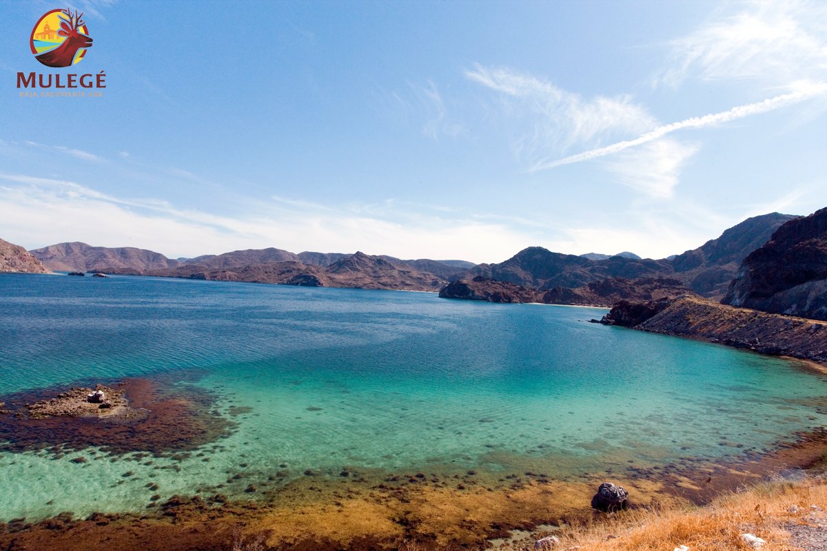 discovermulege's tweet photo. From where you look, #Mulege is a place that will captivate you with it's breathtaking scenery! https://t.co/KeBuIvXfwL