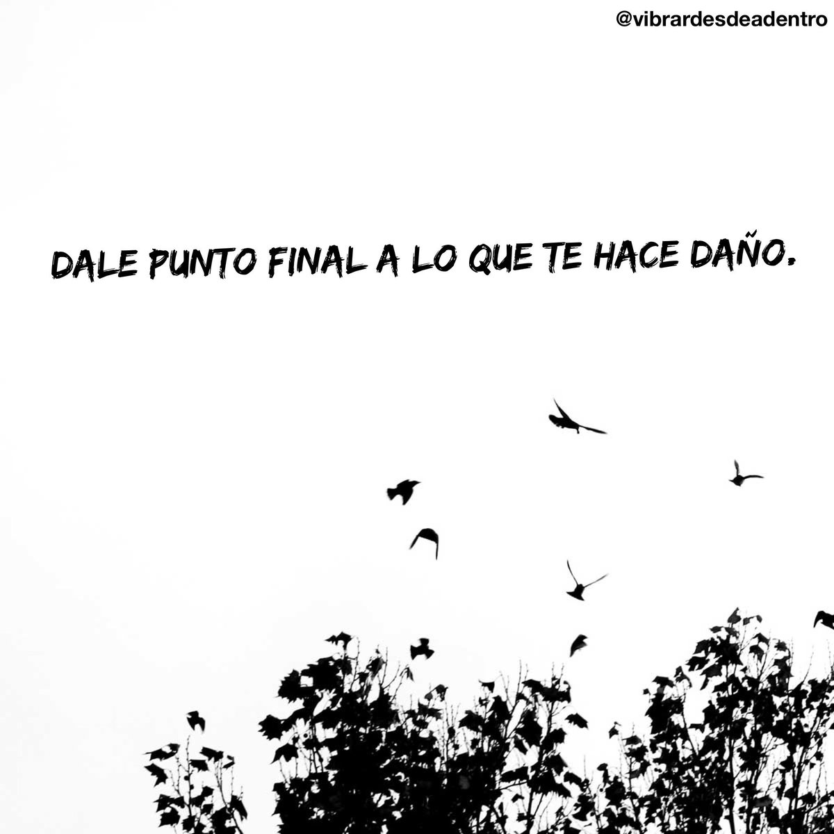 vdesdeadentro's tweet photo. #namasté 🙌🏻💛 #FraseDelDia https://t.co/agKqikd8Ec