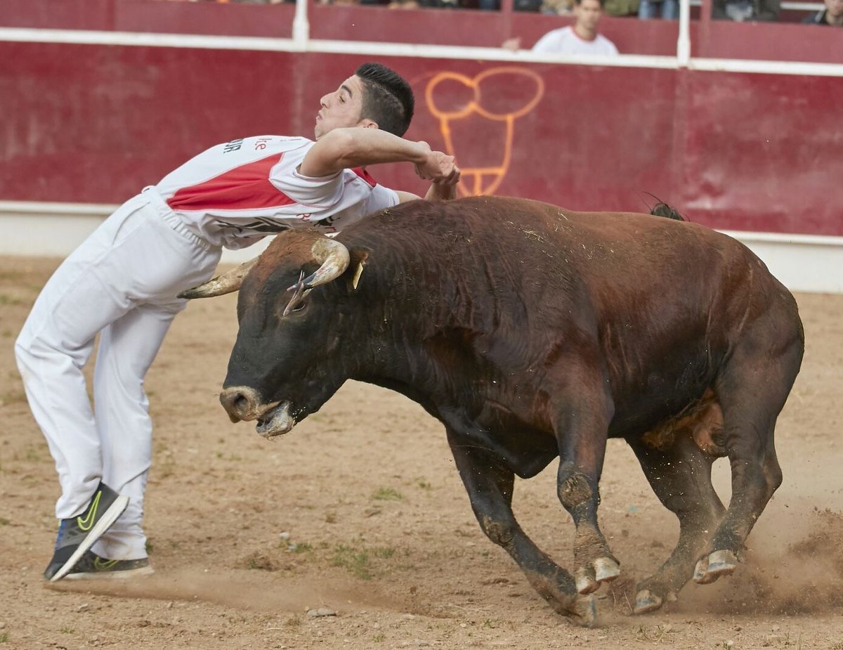 Mañana disfrutaremos de grandes Recortadores;Luis Juanela. 
#Tudela #RuedoArte  #concurso #recortadores #rafalaguna