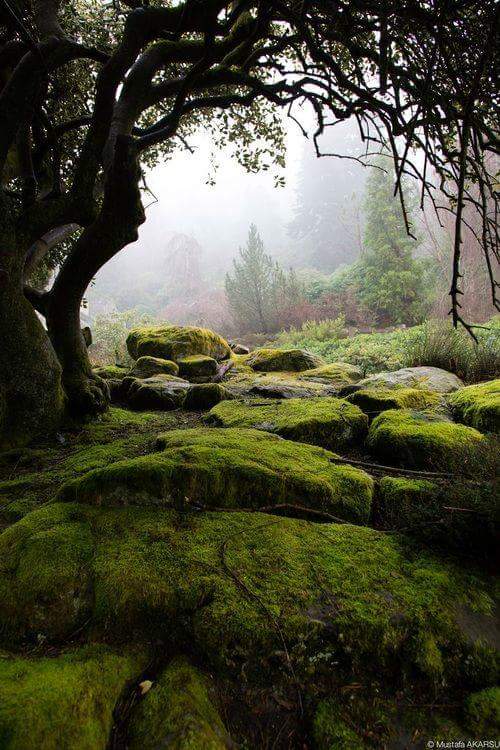 Dawn Graham (@dawngraham57) on Twitter photo 