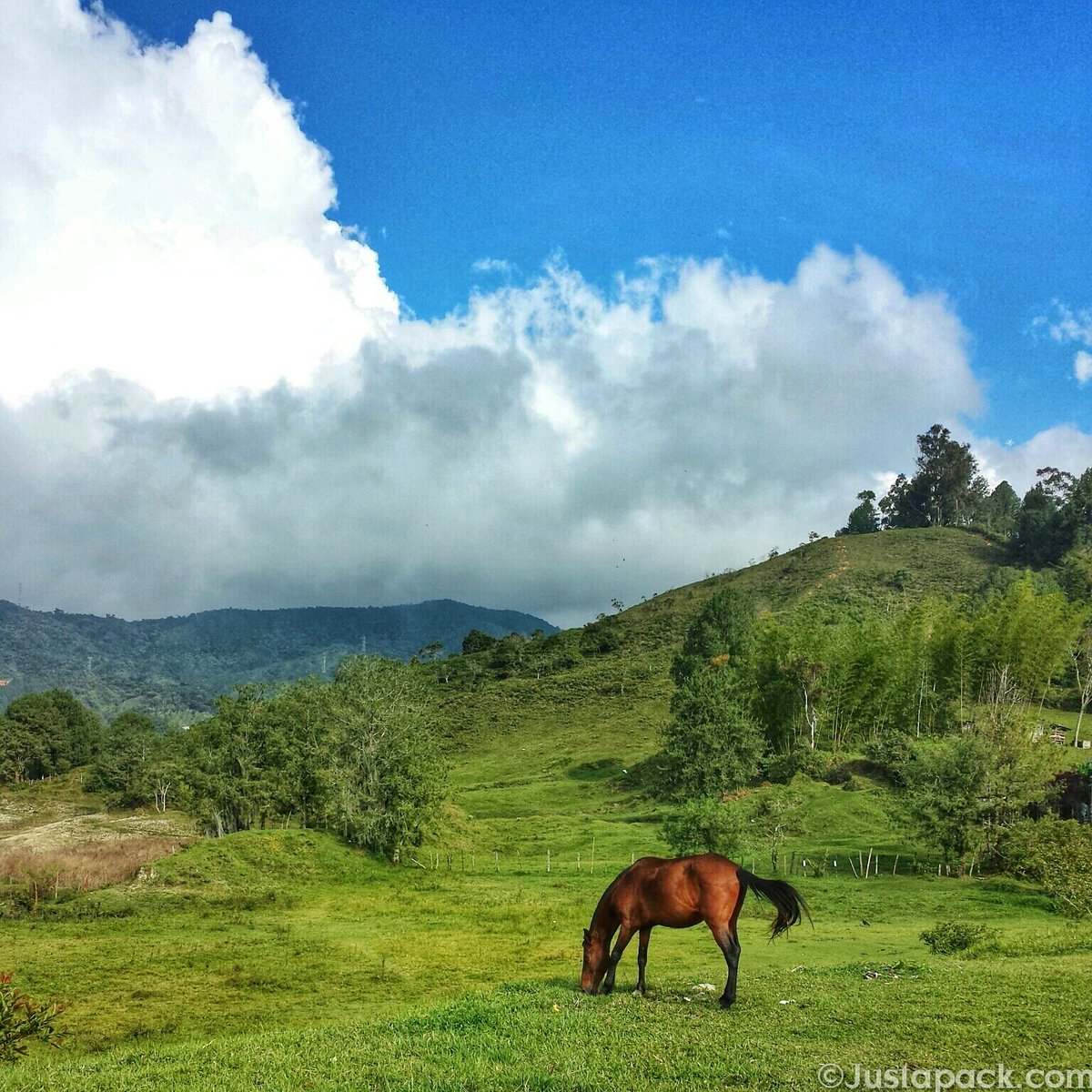 JustaPack's tweet photo. What to do and Where to Stay in Gorgeous Guatape, #Colombia

https://t.co/WbIkmDCPjo

#travel #backpacking https://t.co/xZIAgmAJZy