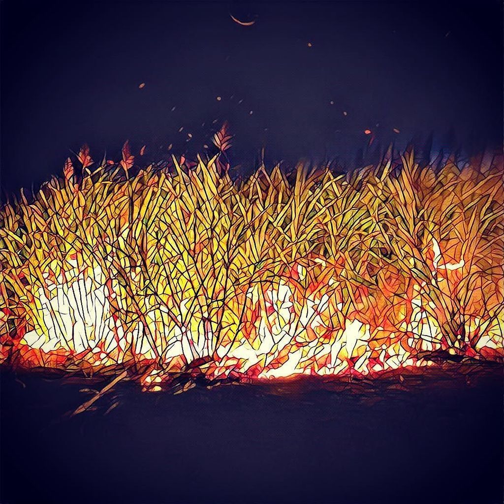 Cover photo for Kallee