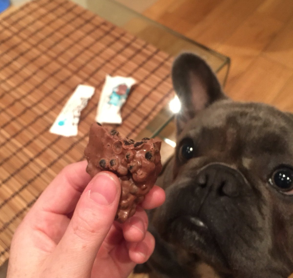 Katewhateverco's tweet image. Even @Teddy_andco_  gets none, and he has strong puppy dog eye game! #yum