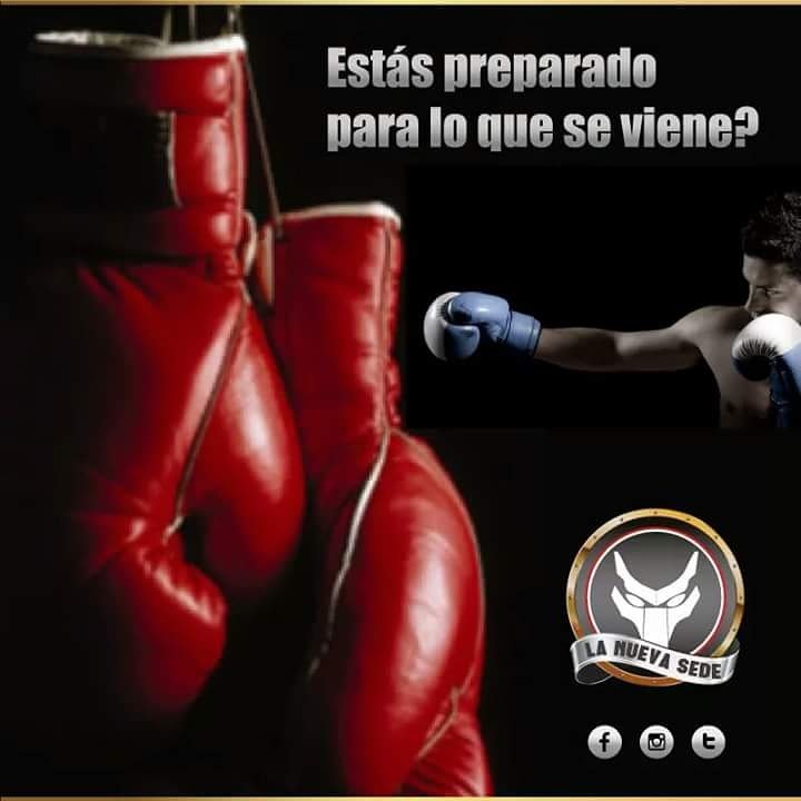 predadornew_uio's tweet photo. Tenemos Nuestro Equipo de Box Comformado por dos Grandes Profesores y Un Gran Boxeador Activo profesional!! https://t.co/S8GvpAtP8b
