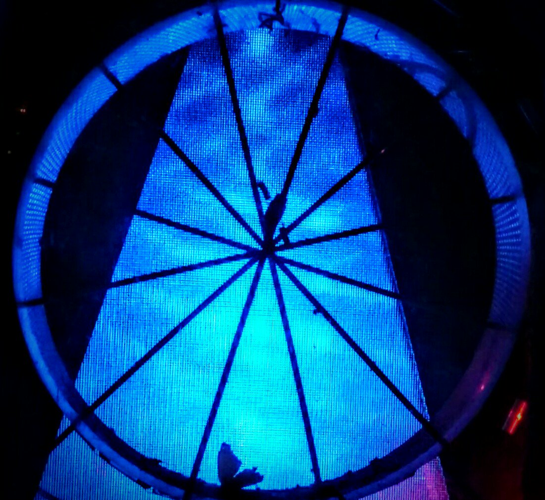 ThomasHaagen's tweet photo. #flyingLIGHTS für einen Schmetterling Lichtobjekt von #Ћ https://t.co/xgmOEg0pMR