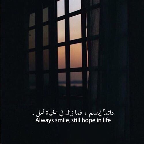 B 🥇💙 tweet media