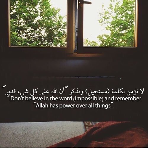 B 🥇💙 tweet media