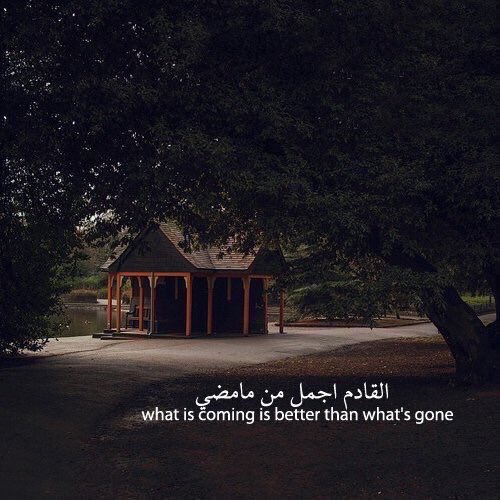 B 🥇💙 tweet media