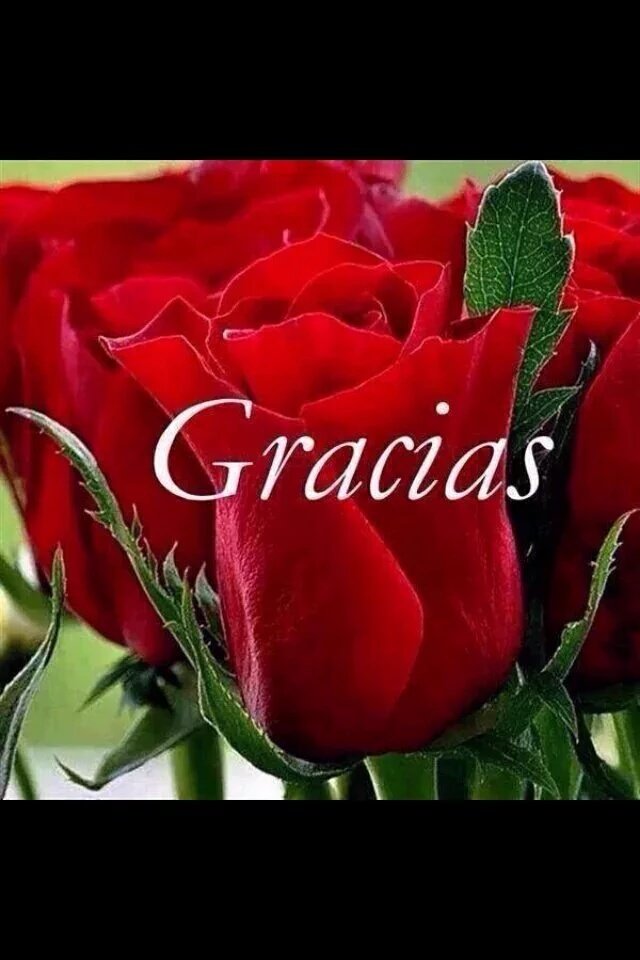 maryy_8588's tweet photo. @thylu11 @mariael85894879 @CorralesIan @juanbonilla1011 @soydDios @mariaestermante @GmAscencio @espinalg25 BENDICION https://t.co/aY6YSiNVhB