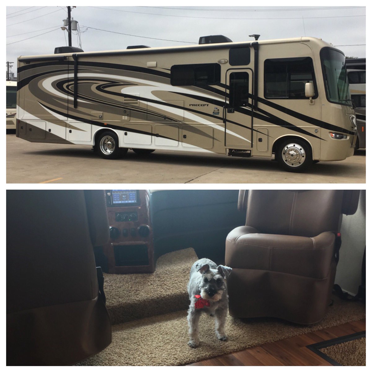 JennBlythe's tweet photo. Been busy getting our new motorhome ready for our first out of state trip. @PrincessReecie is excited. #roadtrip https://t.co/eLlYPK6ukY