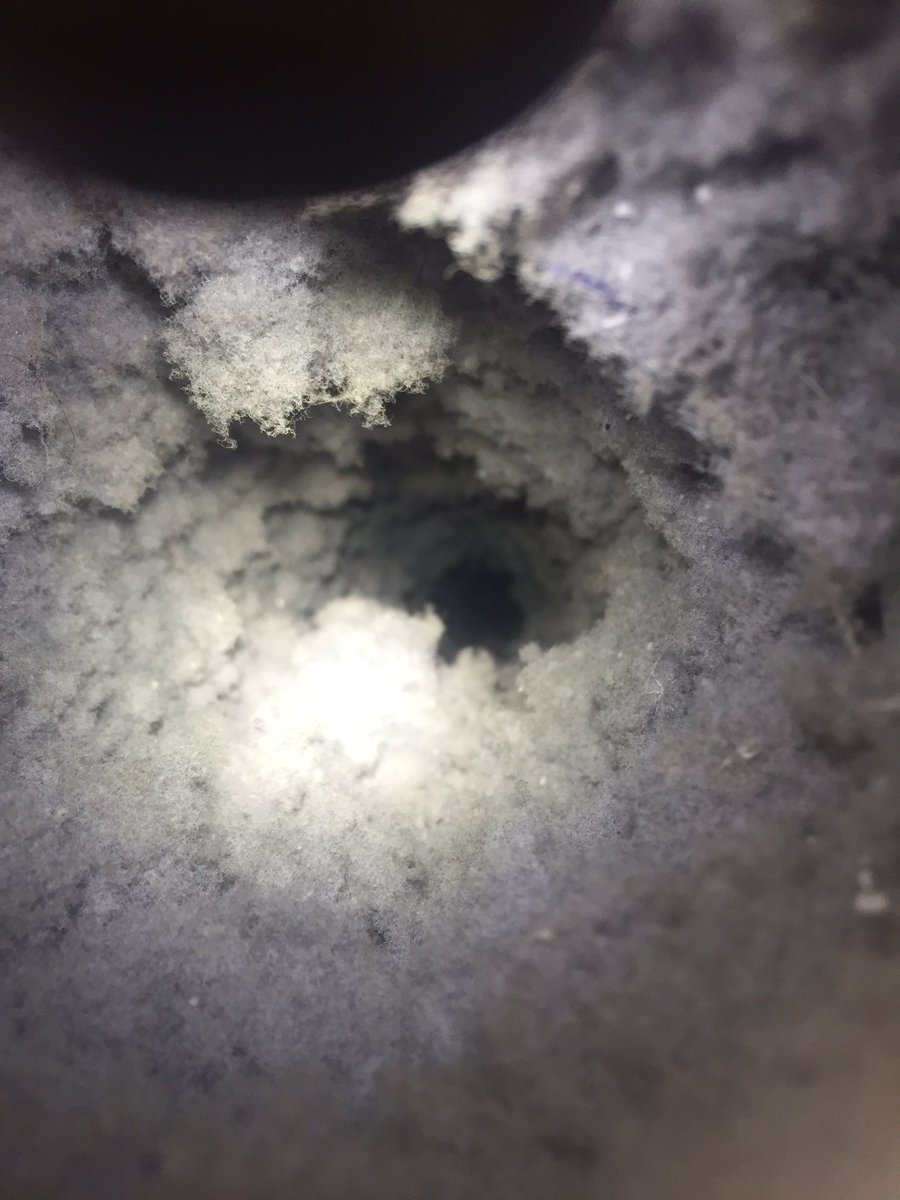 CarletonAir's tweet image. Does your dryer vent look like this? Call us today for a free quote for your dryer vent cleaning #ottawa #ducts