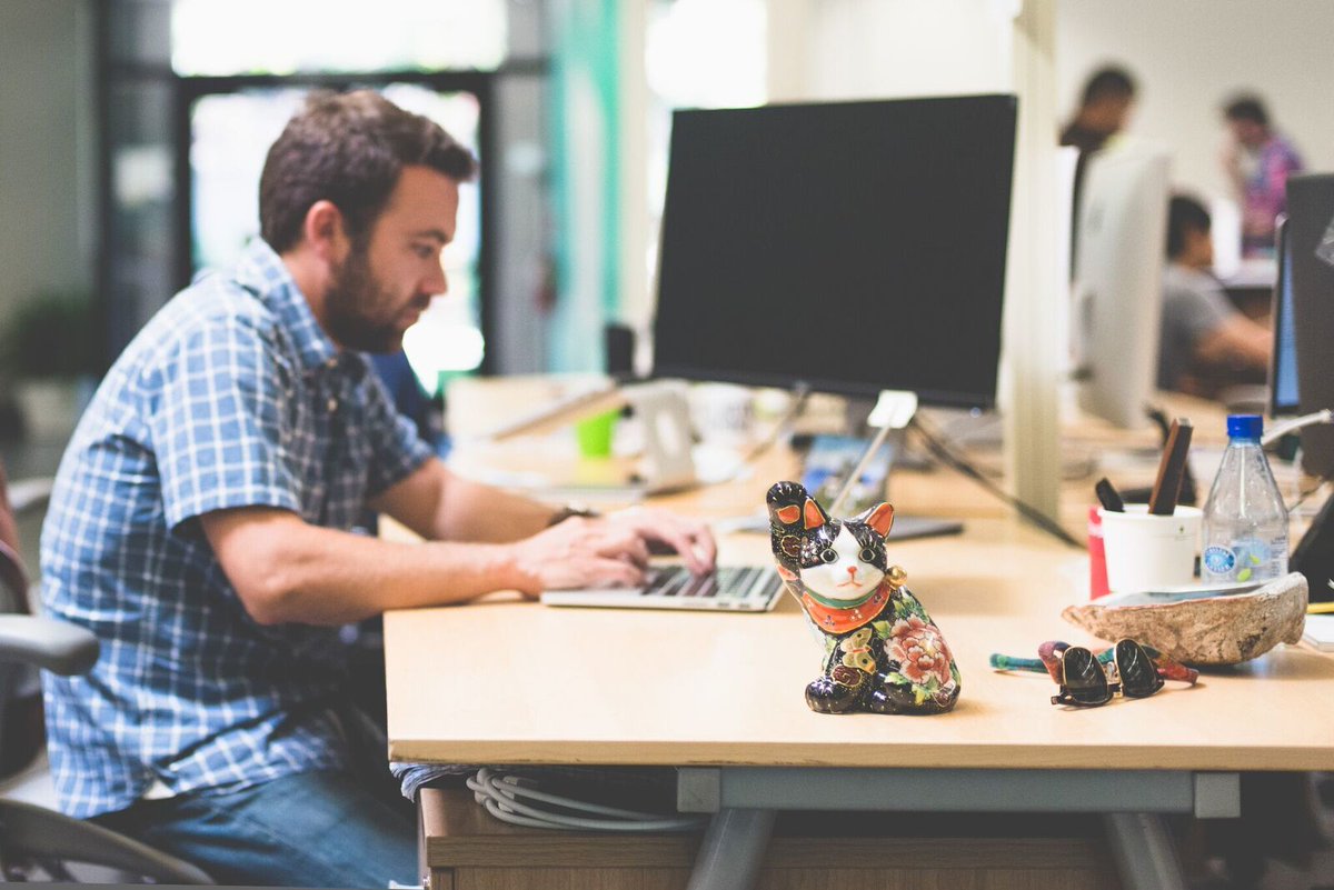 RobinhoodApp's tweet photo. We're looking for hard working, cat-loving engineers.
(will consider dog-lovers) 
https://t.co/WvVro2zH9a https://t.co/RWd21UsPVy