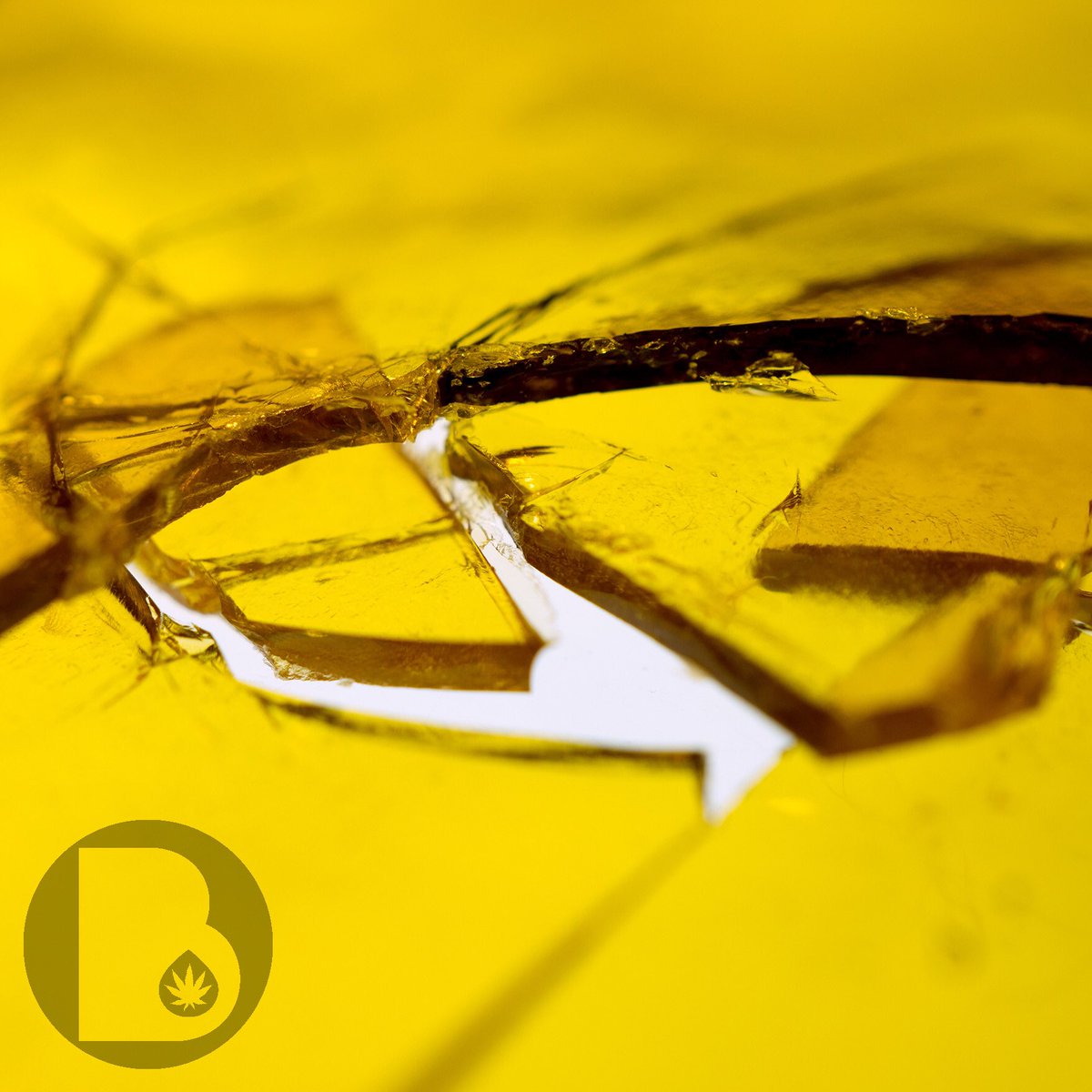 BolderCandE's tweet photo. #claritycounts #dabs #errl #shatter #hashoil https://t.co/SgfPioyheM