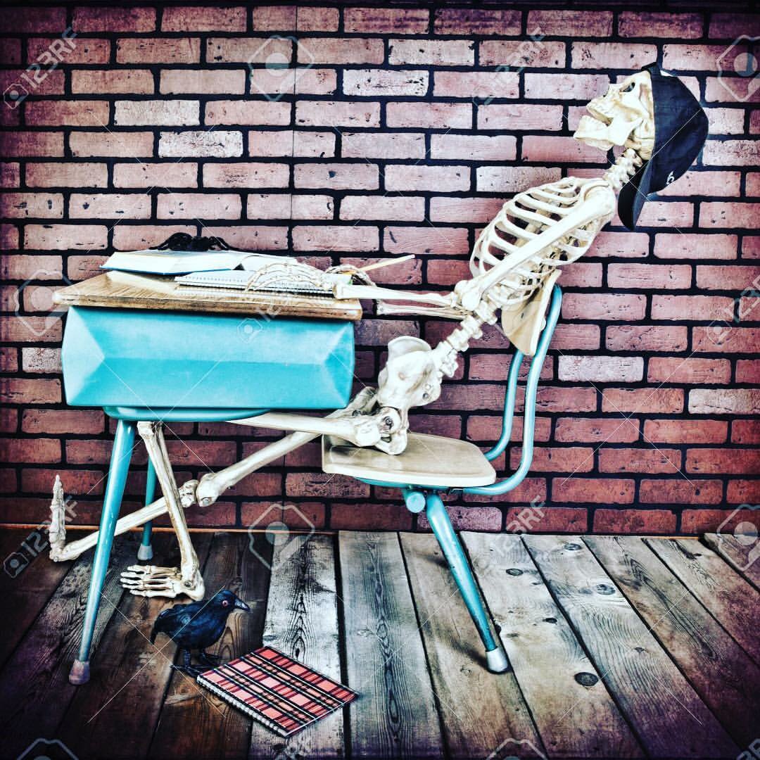 PtreePortraits's tweet photo. Who feels the same way? #bringiton #backtoschool #cantwait #seniors #letsgetstarted https://t.co/16ZxAGO97y