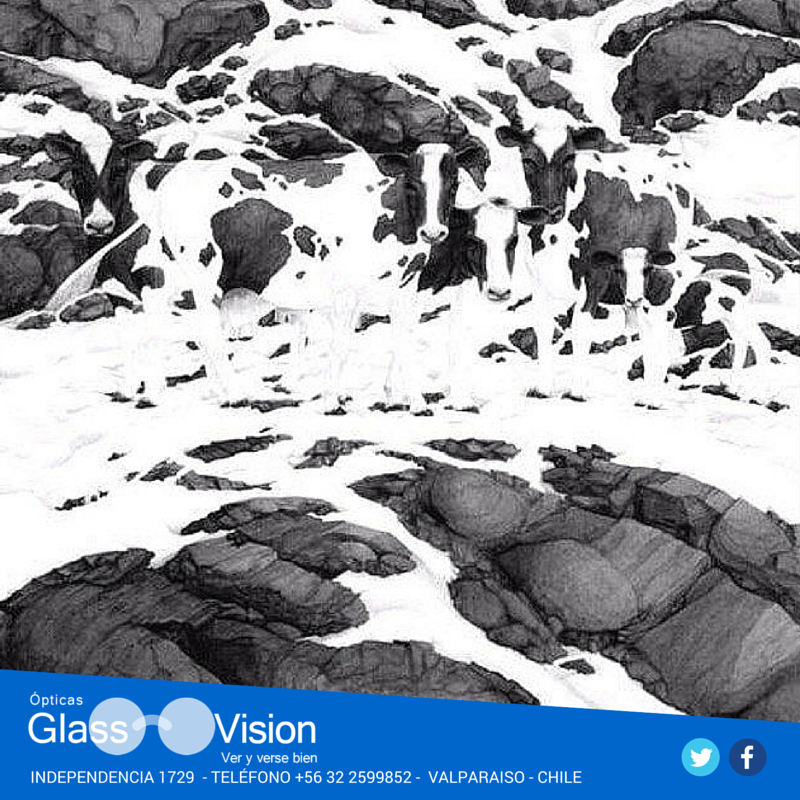 glass_vision's tweet photo. Mira muy bien y cuéntanos qué ves y cuántas ves
#Valparaiso #Sucedarte #AlgunDiaQuiseraPoder #MeVinieronUnasGanasDe https://t.co/XCA7rxf9ak