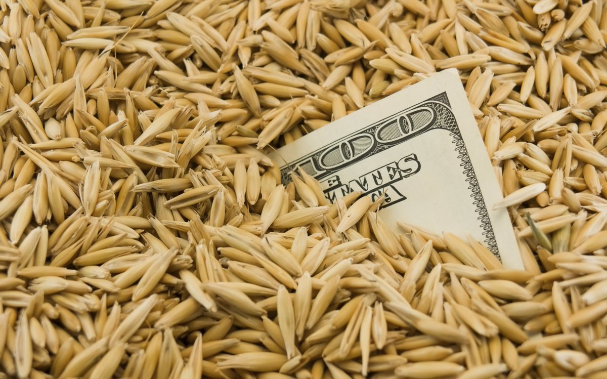 AgweekMagazine's tweet photo. U.S. seeks options as farm loan funds run out of cash https://t.co/uIFuKDpQ9A https://t.co/jVQmewiB1f