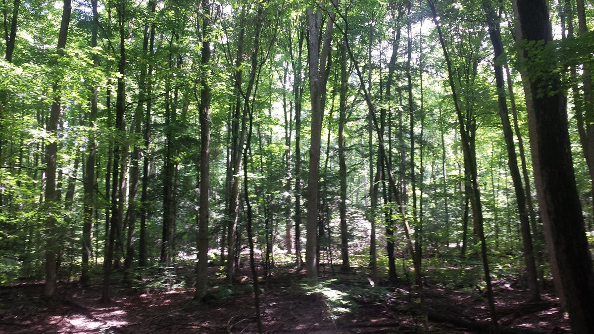 Stephanie Varty tweet media