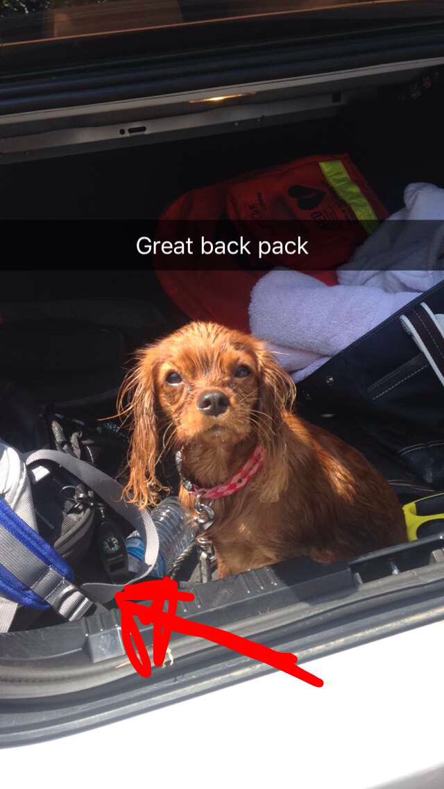 She is a legit water dog. Well.... sge will be with a life jacket