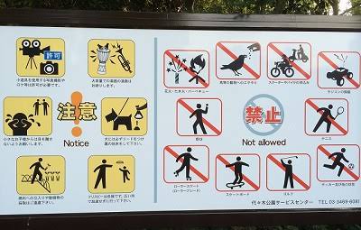 このさきれむ H Jp 現代の公園は不幸ですよ 昔はボール遊びも遊具遊びも 花火遊び もできましたが クレーマーや反対派の意見を聞いているうちにどんどんルールが増えて 何もできないがらんどうの空間になってきました そして間もなくポケモンもそれに