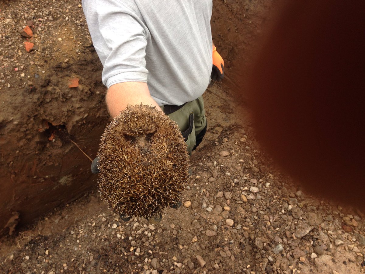 PAWE Developments (@pawe_dev_ltd) on Twitter photo 