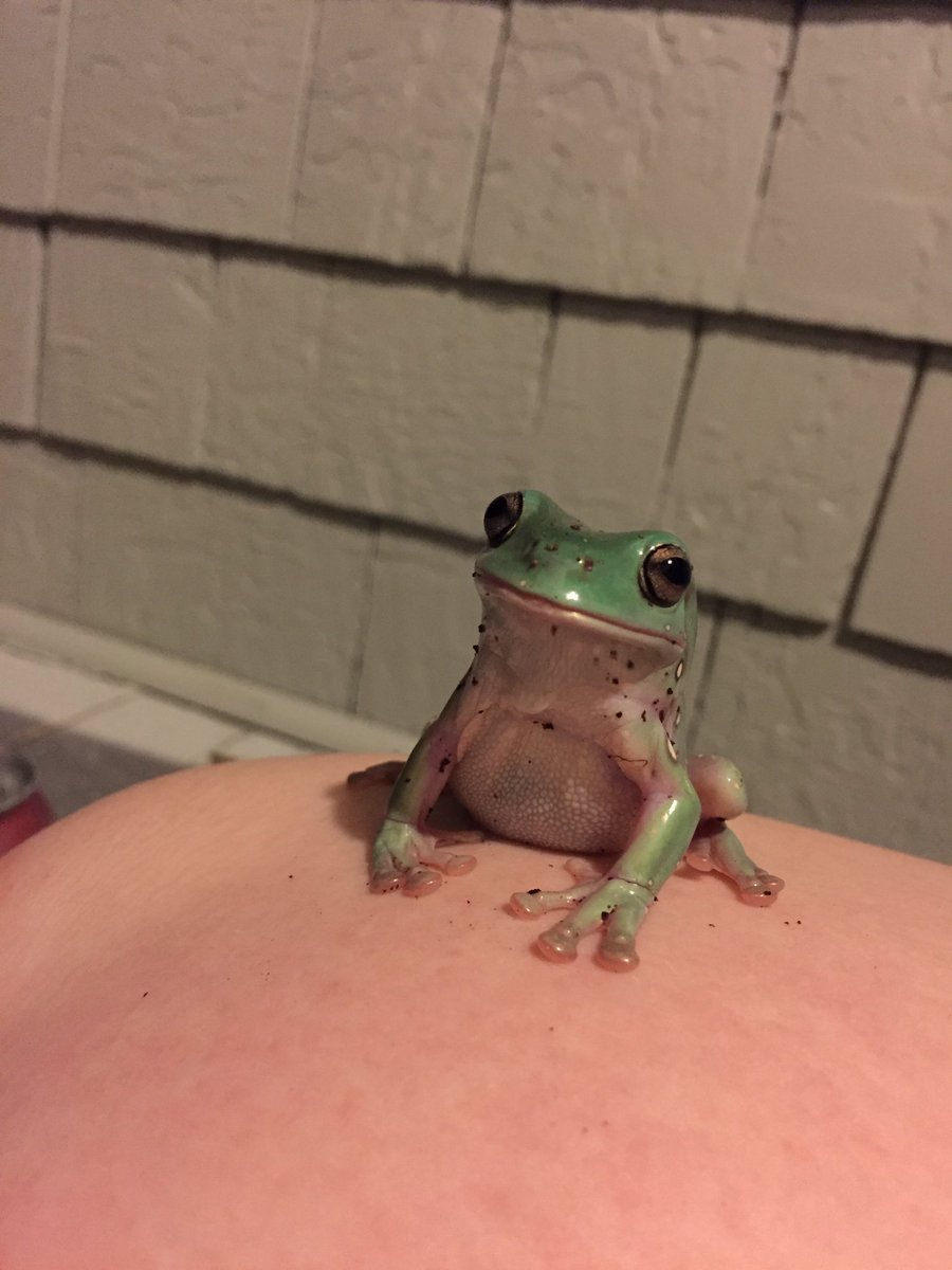 binguses's tweet image. um, excuse?? where is my dinner???