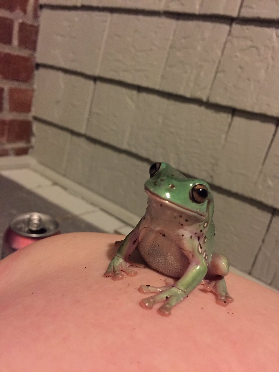 binguses's tweet image. um, excuse?? where is my dinner???