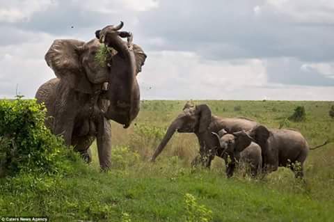 Sir_Franjian's tweet photo. Just look at it,feel it and like it.
This is Kenya, a beautiful and wonderful country
@BrandKenya 
@MakeItKenya https://t.co/r4tfCOquFx