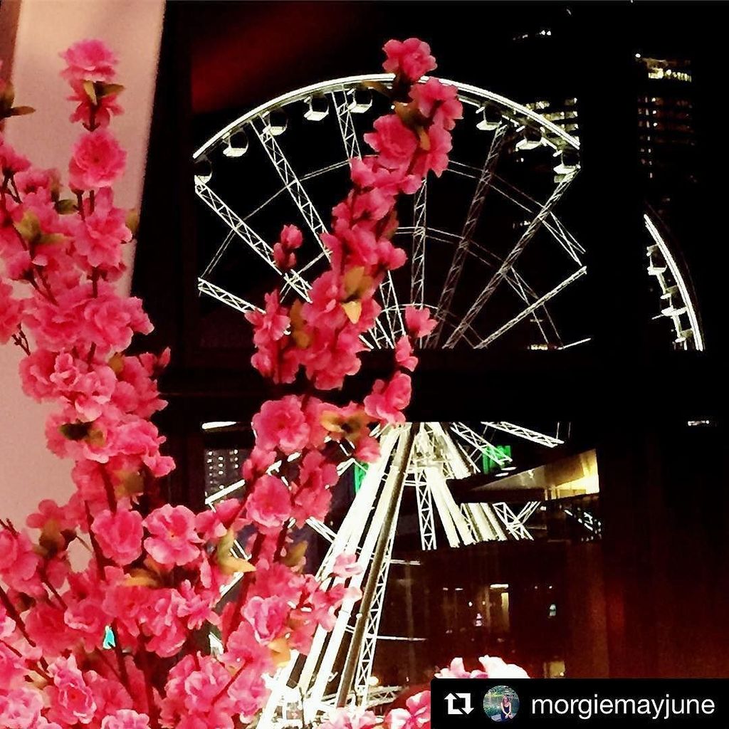 Sense Us tweet media