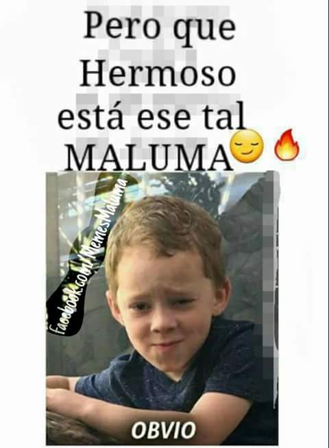 Jajaja Obvio Querida👌
<a href="/maluma/">MALUMA</a>