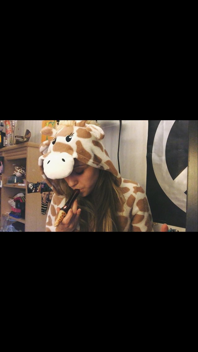 Glow_Bear_'s tweet photo. @themermaidriot @SilencedHippie 💕shes yhe cutest https://t.co/oZsm7lmmPy