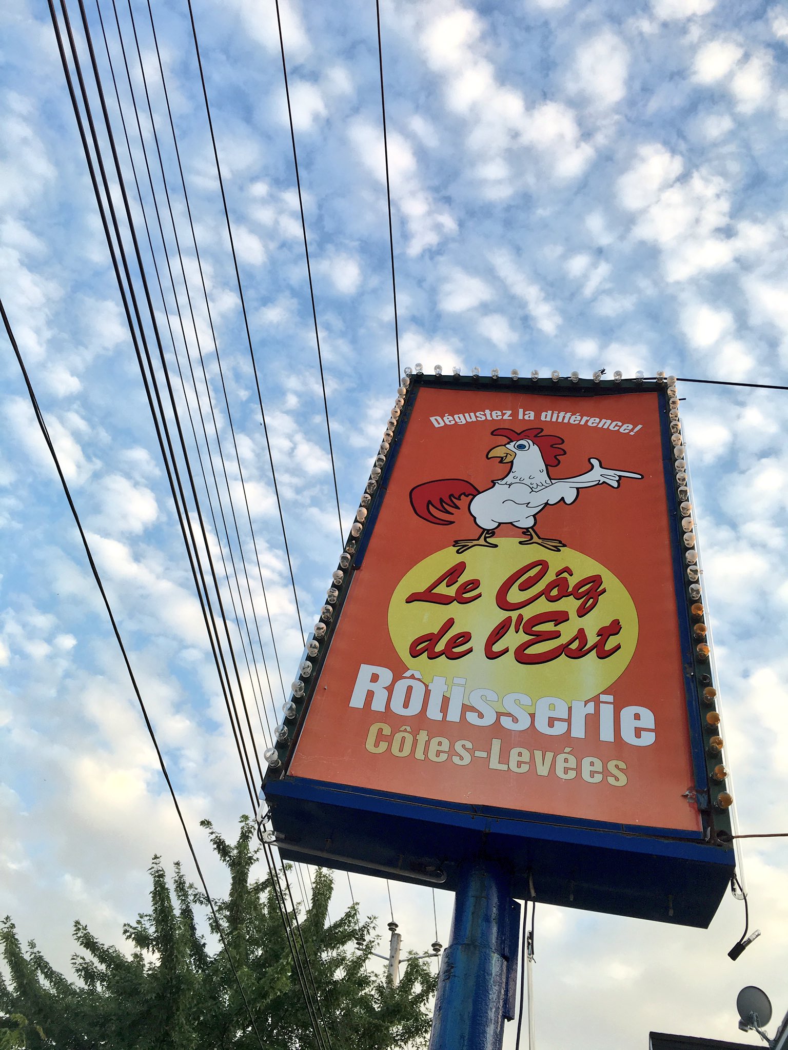 Le coq de l'est hotsell