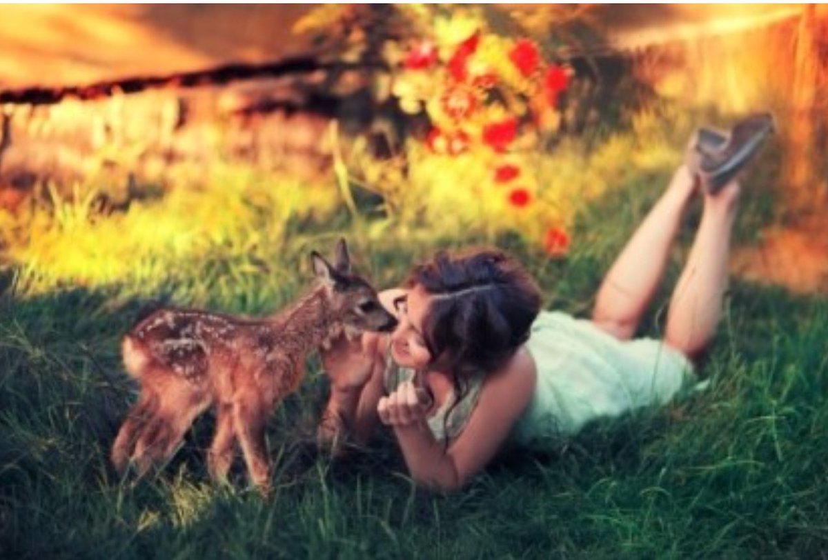 лань девочка