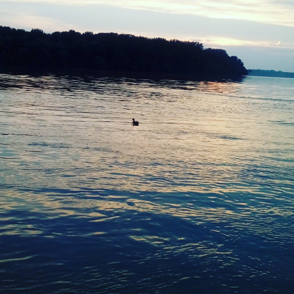 igor_ivan's tweet image. Evo patka je krenula, a mi još čekamo