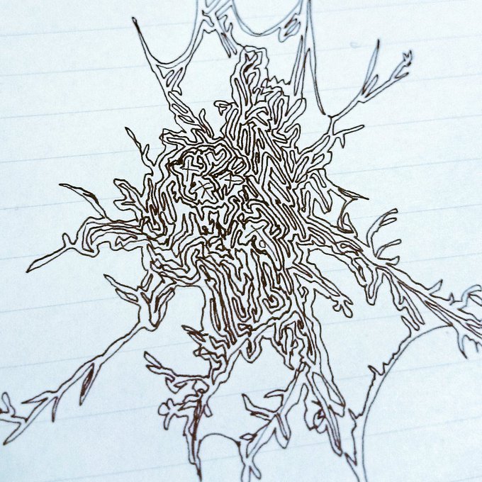 わたしの絵は骨腐肉血液心臓のどれですかのtwitterイラスト検索結果