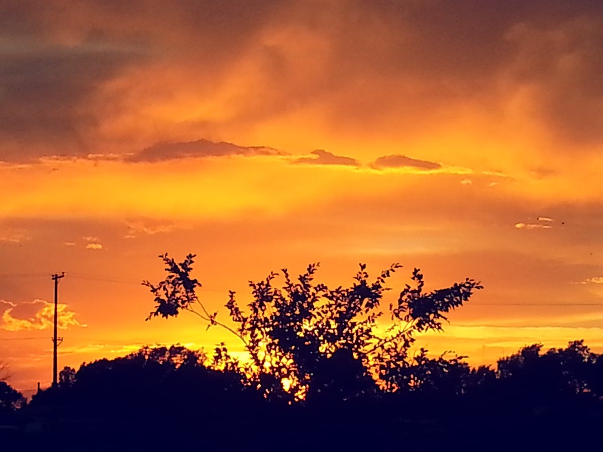 rick womble tweet media