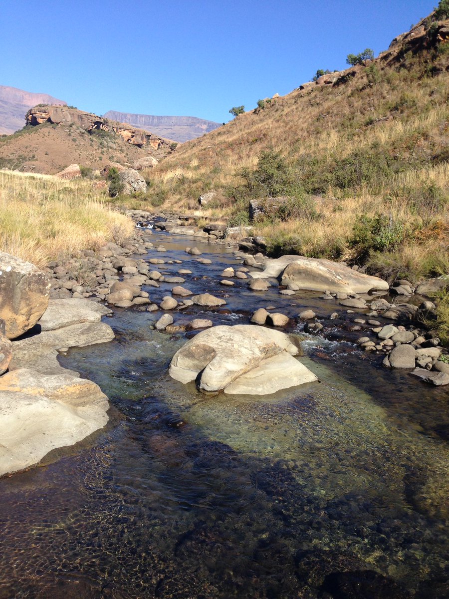 Fikile Hlatshwayo tweet media