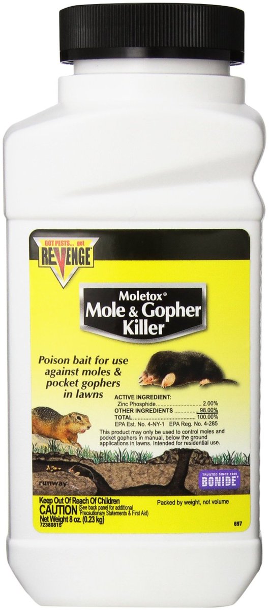 bestgopher tweet picture