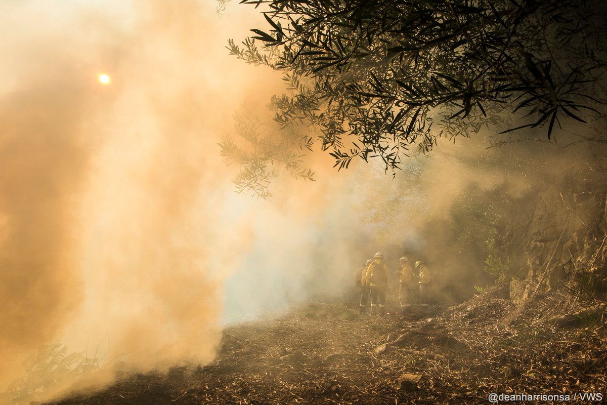 vwsfires's tweet photo. #FireFotoFriday Looking through smoke of a #prescribedburn. Crew Leaders discuss safety & tactics. @deanharrisonsa https://t.co/y4MqftZV7U