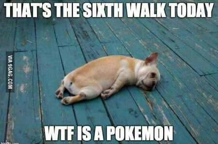 TheRealSamarth_'s tweet photo. @OMGitsAliA  if eevee went on every pokemon hunt https://t.co/KRRVOsKIcp