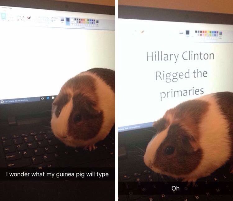 https://t.co/edTsL6uPrm