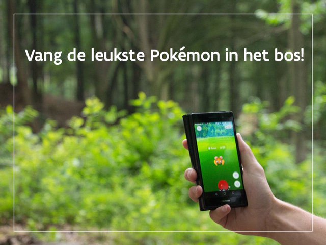 natuurenbos's tweet photo. Het kon niet uitblijven: Pokémonjagers gesignaleerd in het bos! #PokemonGO https://t.co/FLondibxBY https://t.co/cg65NZ7Gzw
