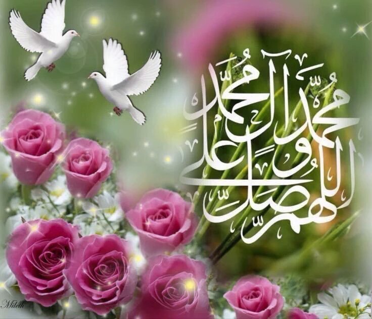 قالﷺ:
"أكثروا الصلاة عليّ يوم الجمعة وليلة الجمعة فمن صلى عليّ صلاة صلى الله عليه عشرا"

#جمعة_مباركة