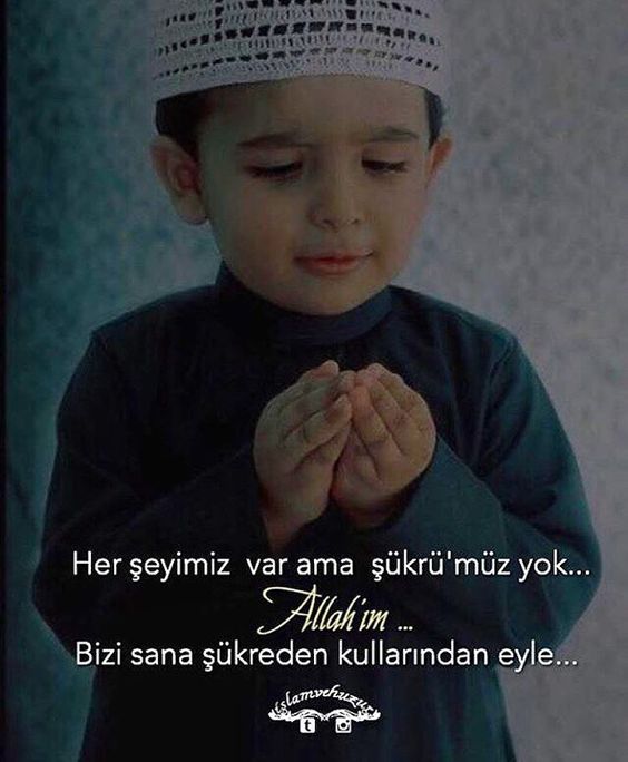 Ya Rabbi bizleri her haline şükredenlerden eyle. amin ( Cumamız mübarek olsun )