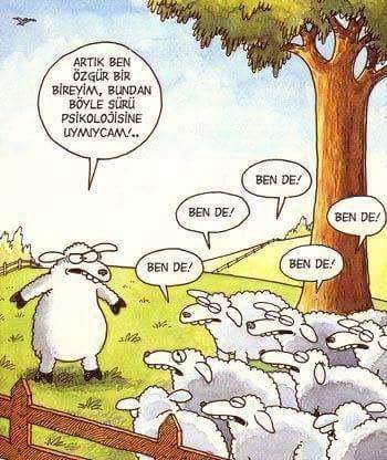 tokcem's tweet photo. Liberalizmin temeli birey, "şahsiyet" olmak....
Topluma, gençliğe 22 yıl vurgulamaya çalıştık... https://t.co/FQFjnSl54c