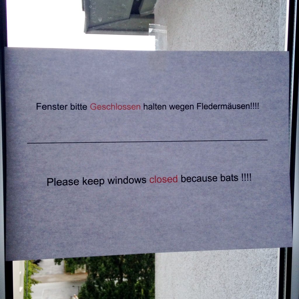 inter_mezzo's tweet image. Official - the bats have taken over in Bayreuth.